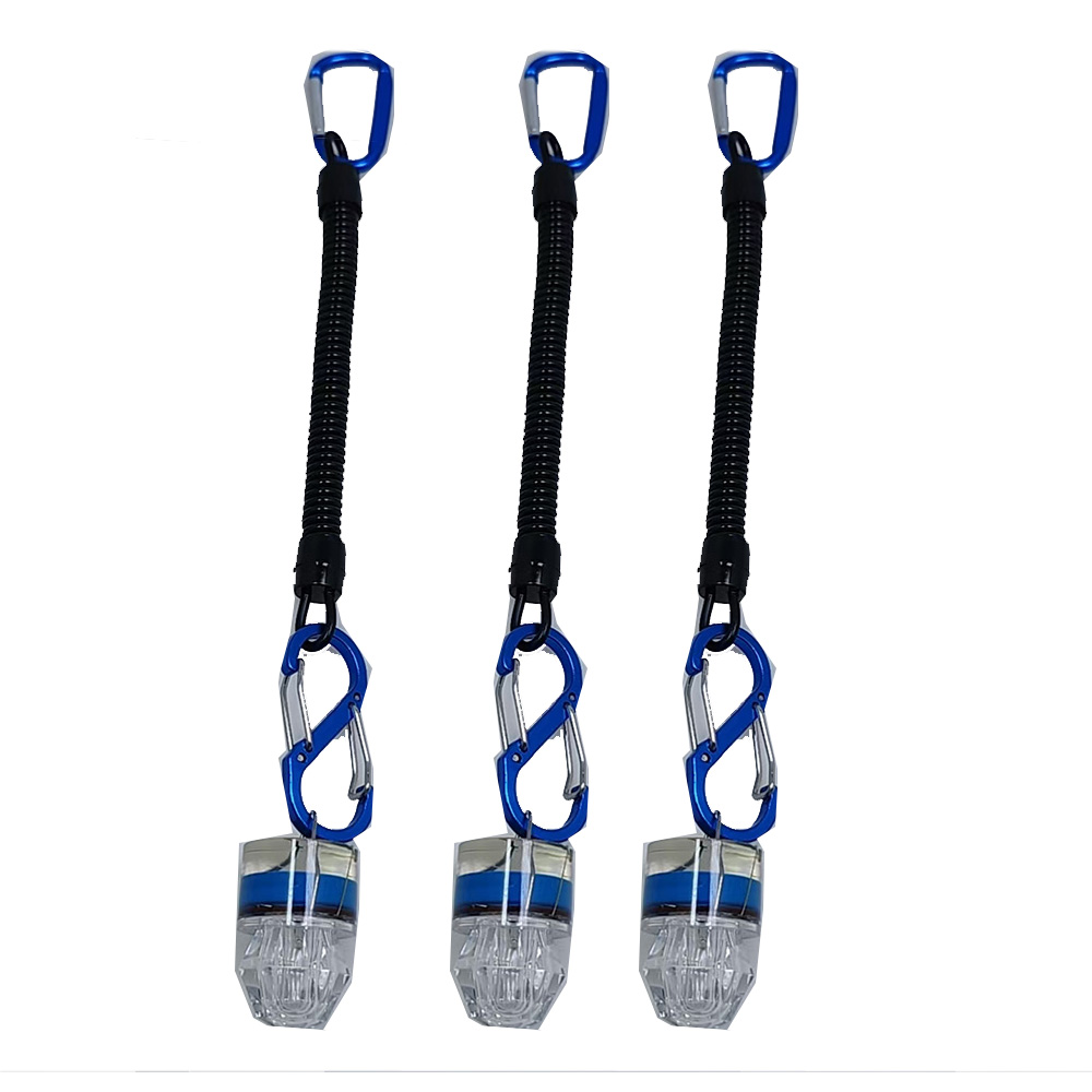 2-3PCS LED Fishing Lights With - Fish Alarm review and price
