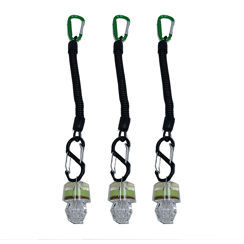 2-3PCS LED Fishing Lights With - Fish Alarm review and price