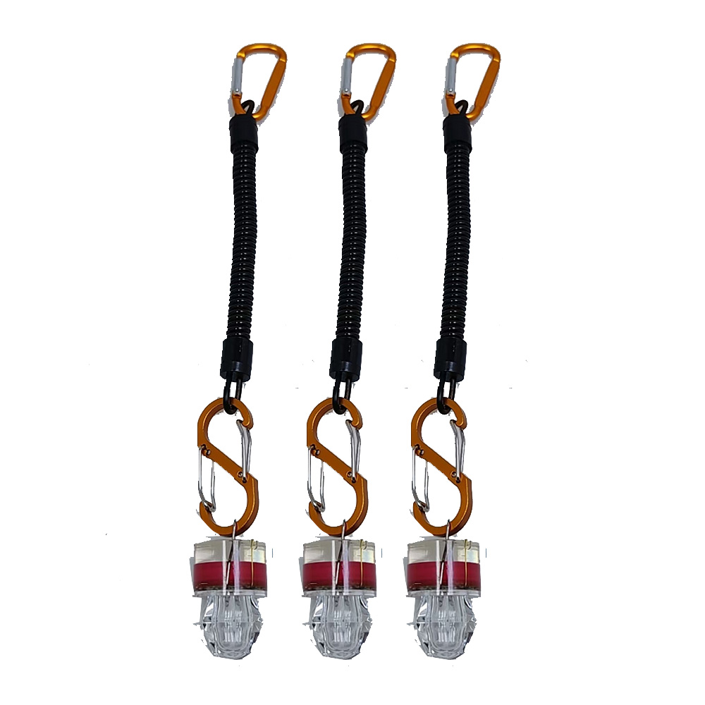 2-3PCS LED Fishing Lights With - Fish Alarm review and price