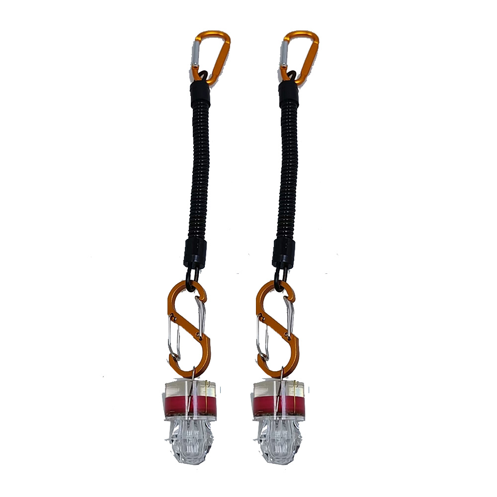 2-3PCS LED Fishing Lights With - Fish Alarm review and price